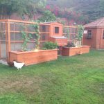 East Hills Symmetrical Hen House by Ryan Jiles