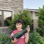 Victory Gardener by Hope Wilderman