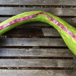 Tromboncino Squash by Joshua Garrett