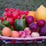 Garden Harvest by Amy Dillon