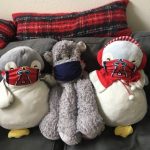 Safety First for Stuffed Animals by Christine Cunliffe