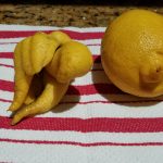 Lemon Chicken by Jennifer Weimer