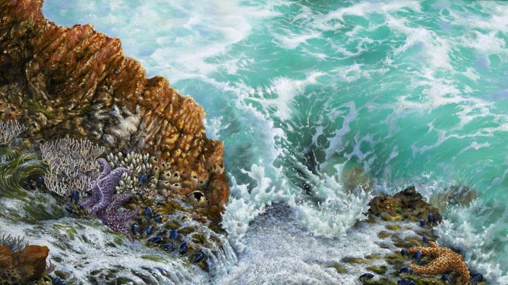 painting aqua sea foam tide water rocks life creatures ocean artist seascape