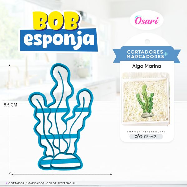 bob esponja alga marina galleta