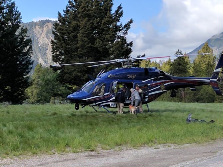 Dog and handler get into a blue helicopter in a field