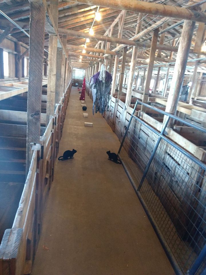 A long hallway full of K9 Nosework containers.