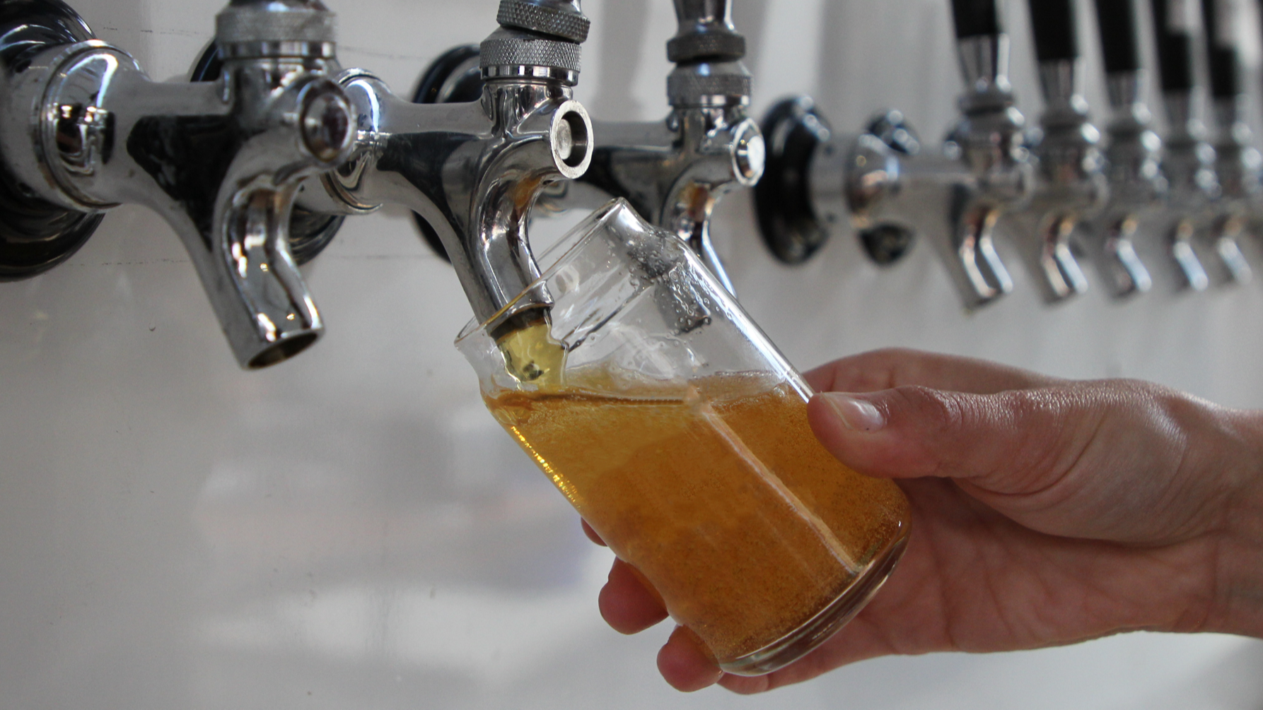 Elk Grove Beer Fest