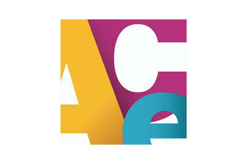 The ACE Mentor Program