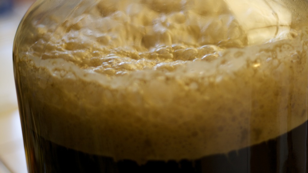Critical Yeast and Fermentation Control Points