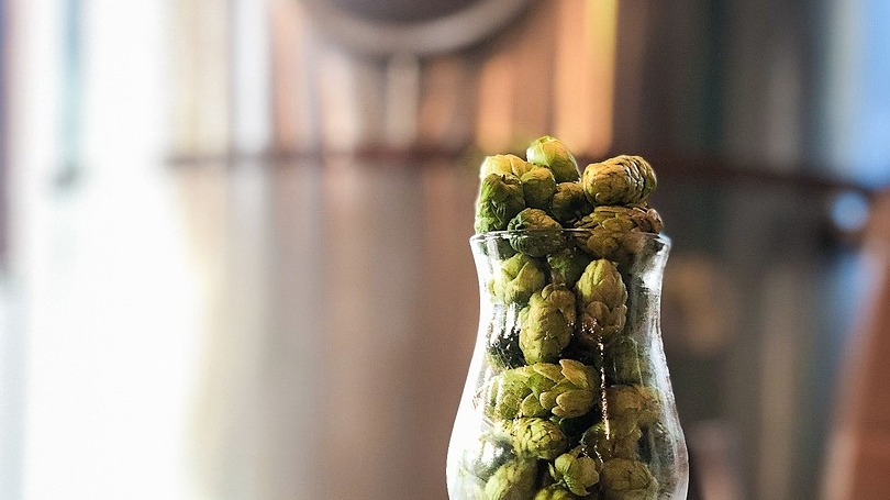 19th Annual Wet Hop Fest