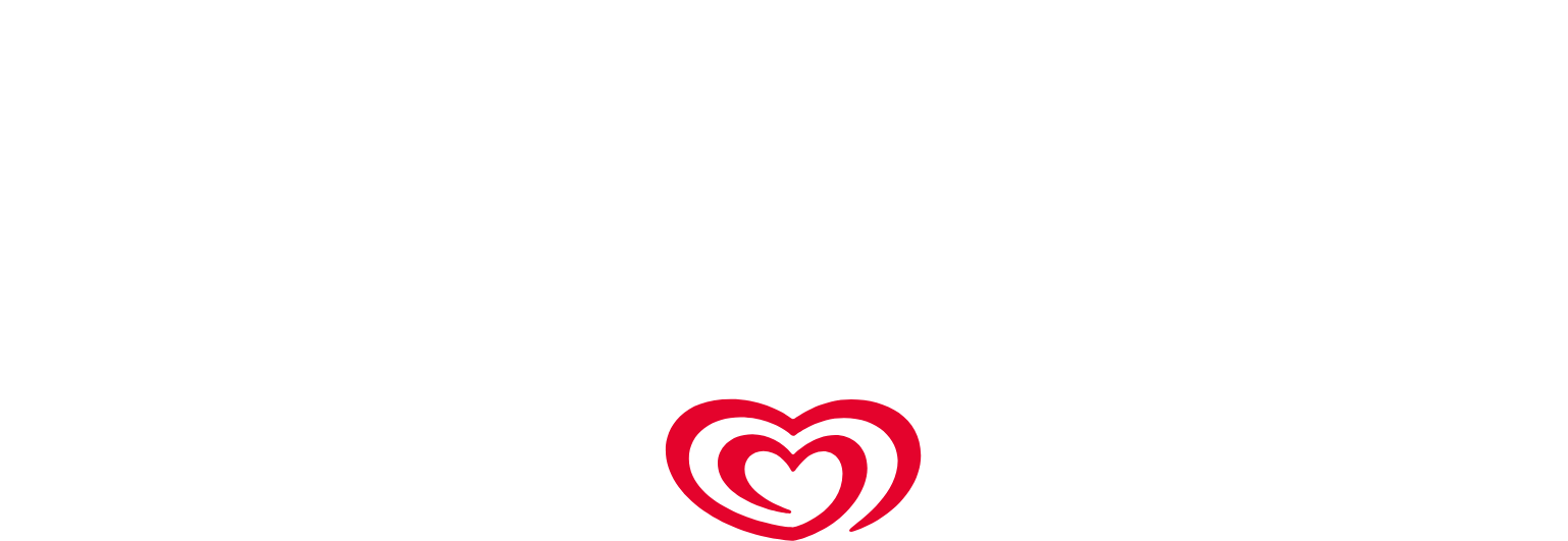 The Magnum Ice Cream Company