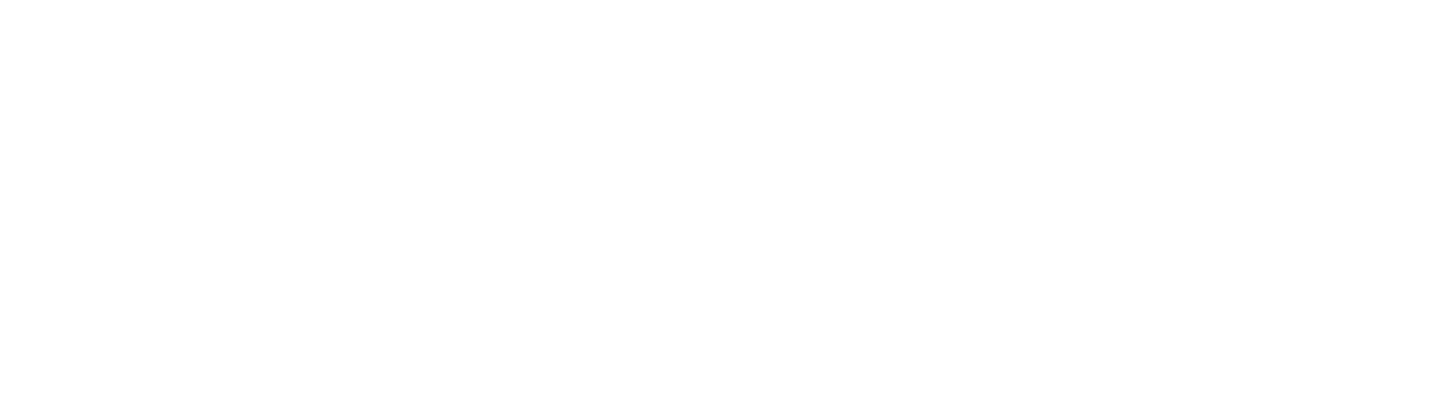 Swann Security