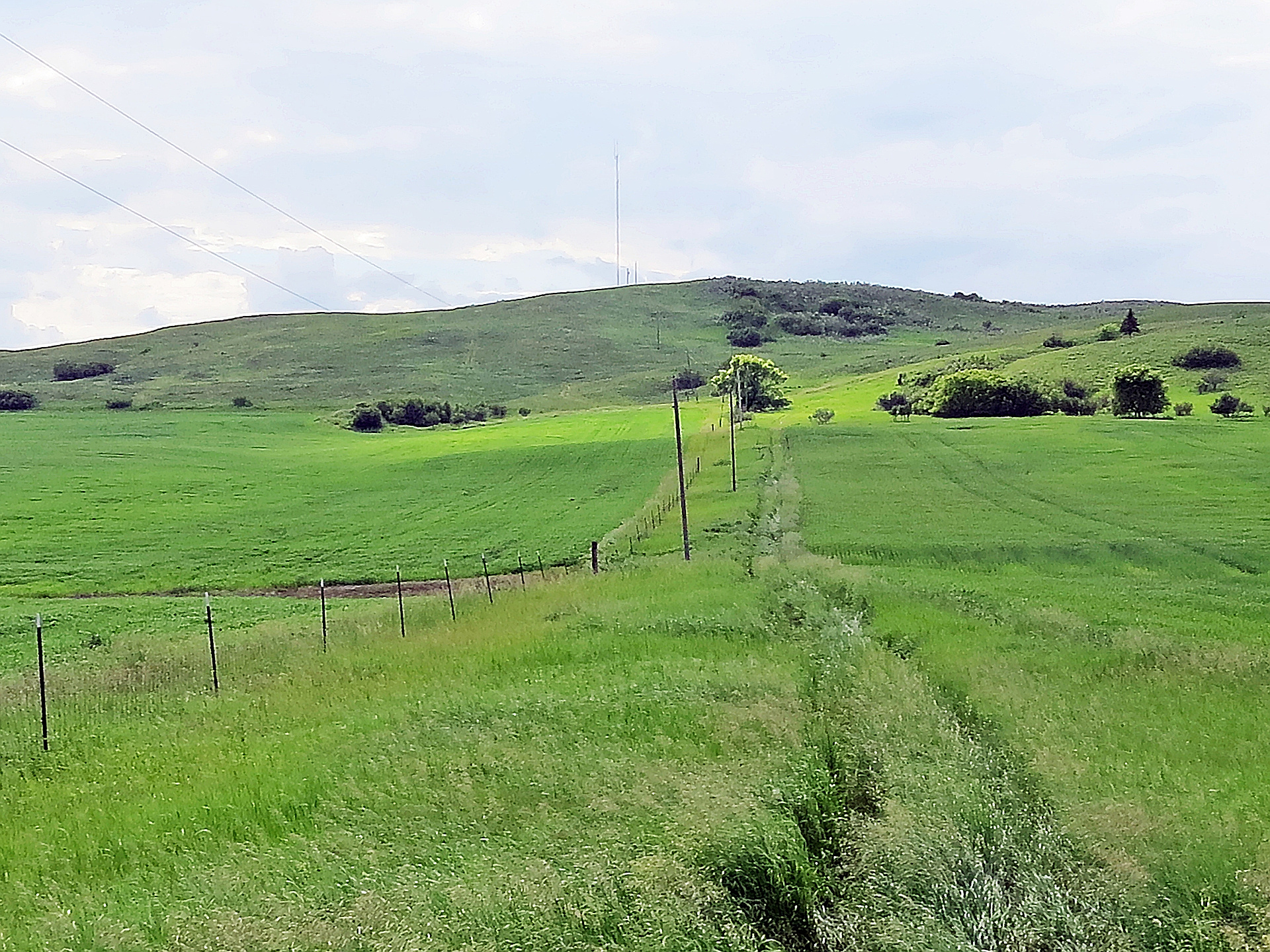 Blue Mountain North Dakota peakery