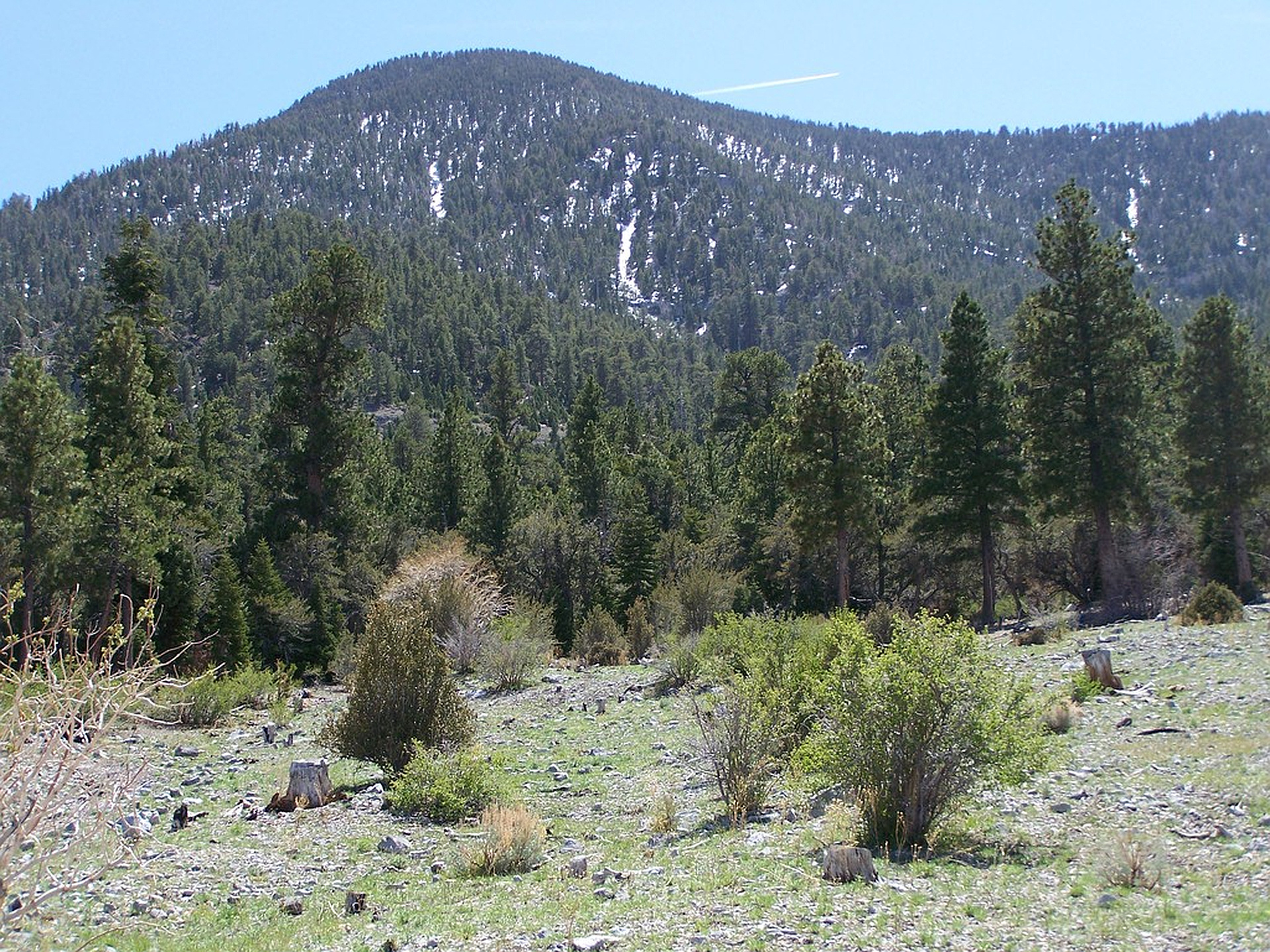 Bonanza Peak Nevada peakery