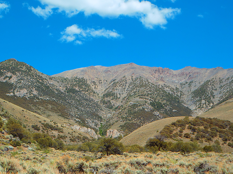 Bunker Hill Nevada peakery