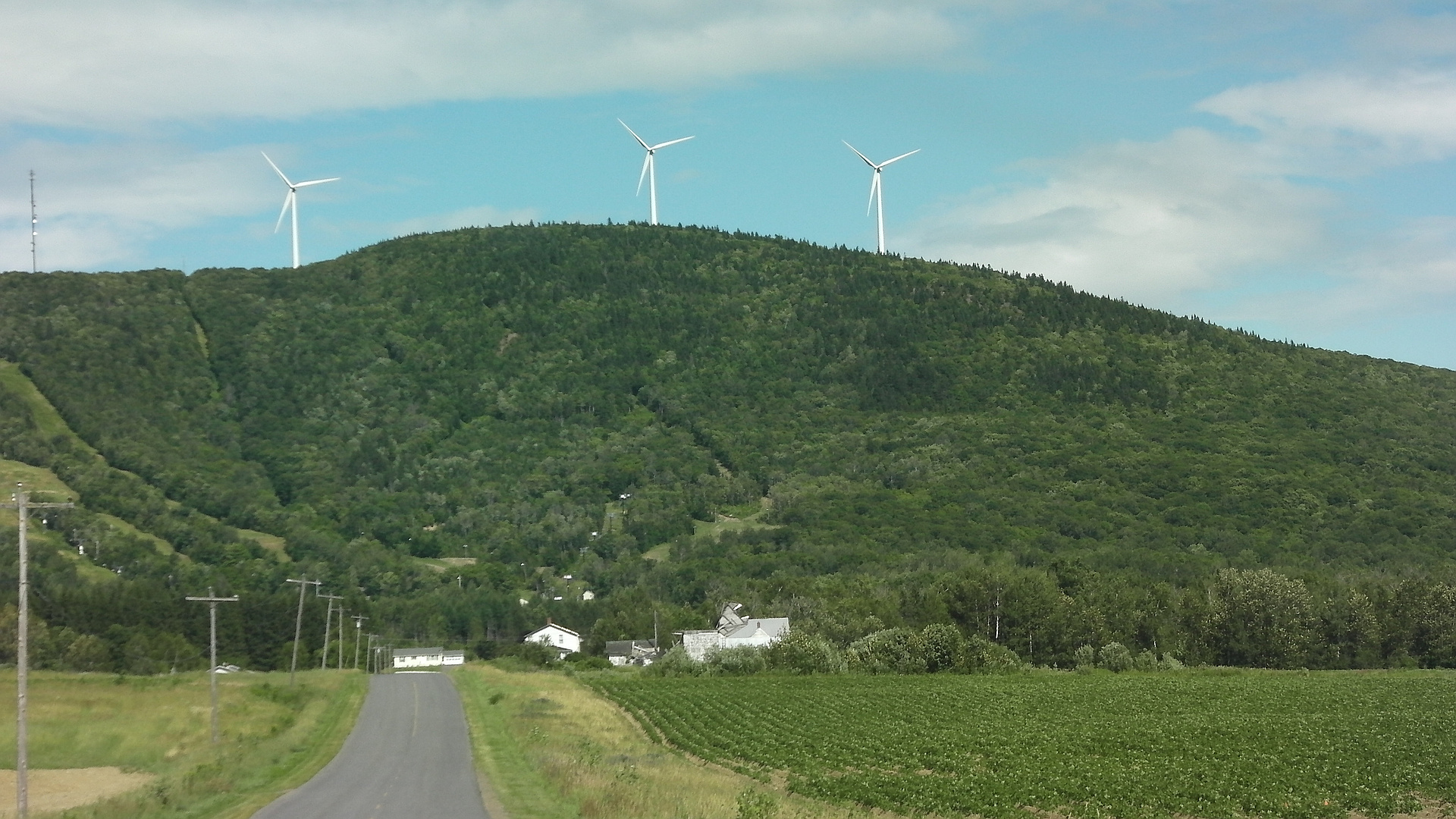 Mars Hill Maine peakery