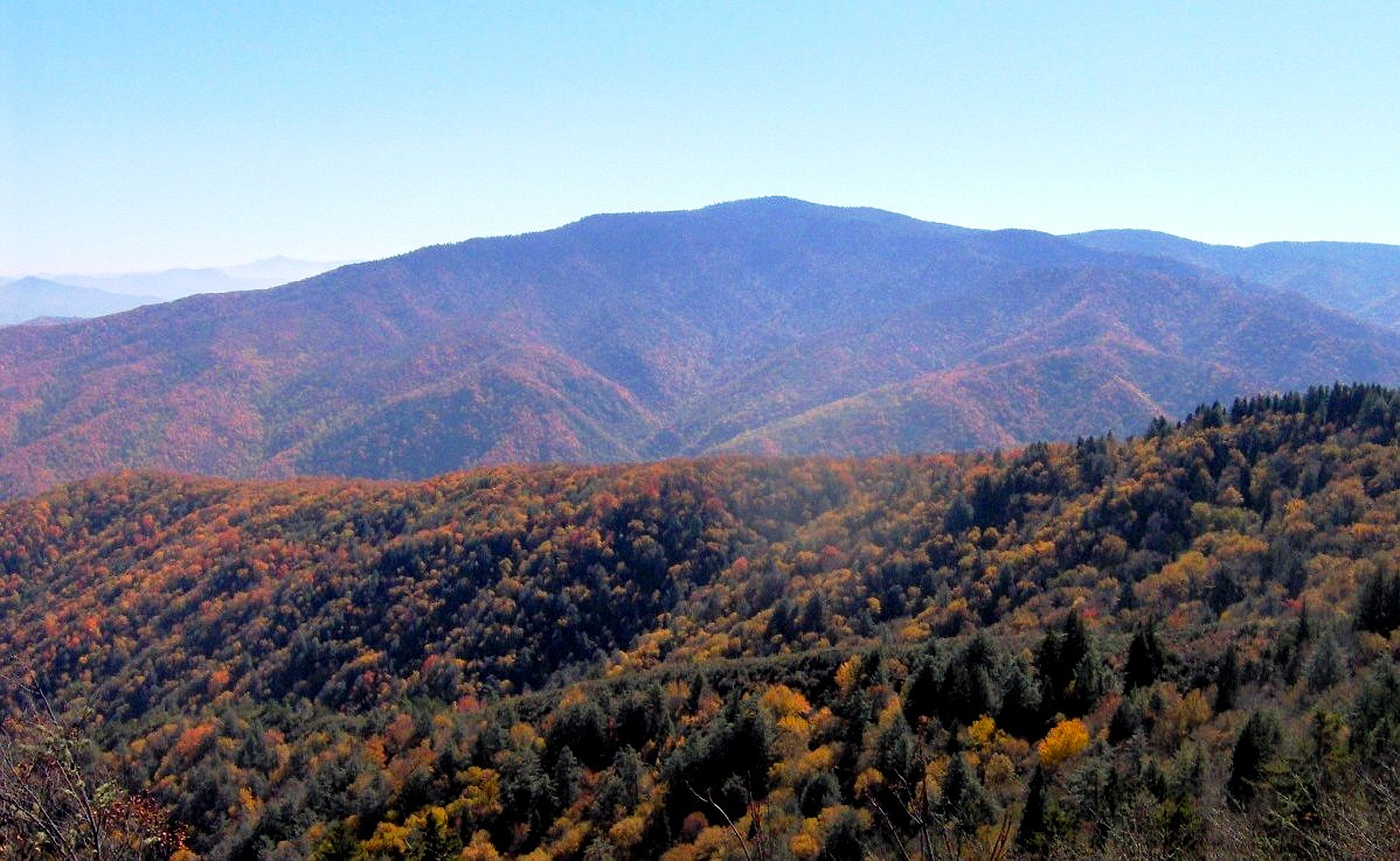 Mt Sterling North Carolina peakery