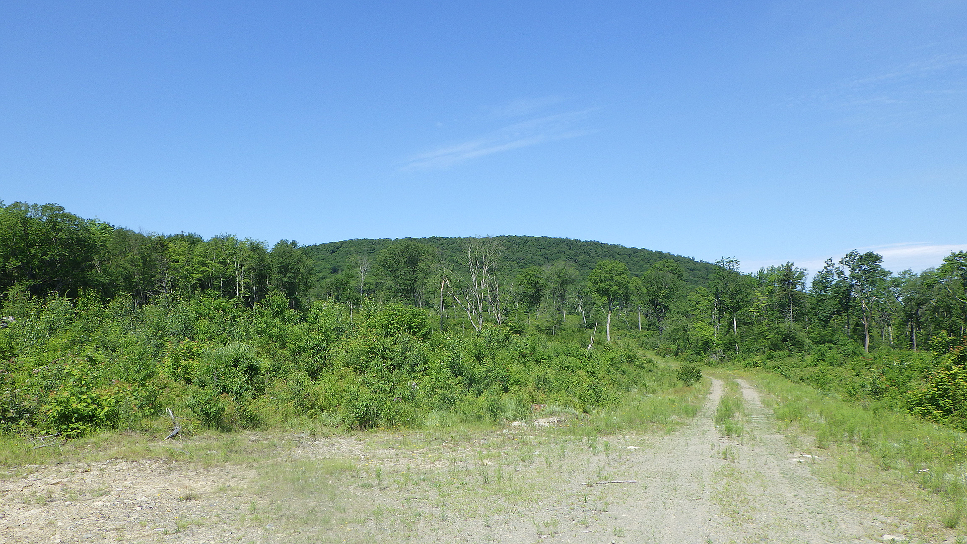 Narrows Mountain New Brunswick peakery
