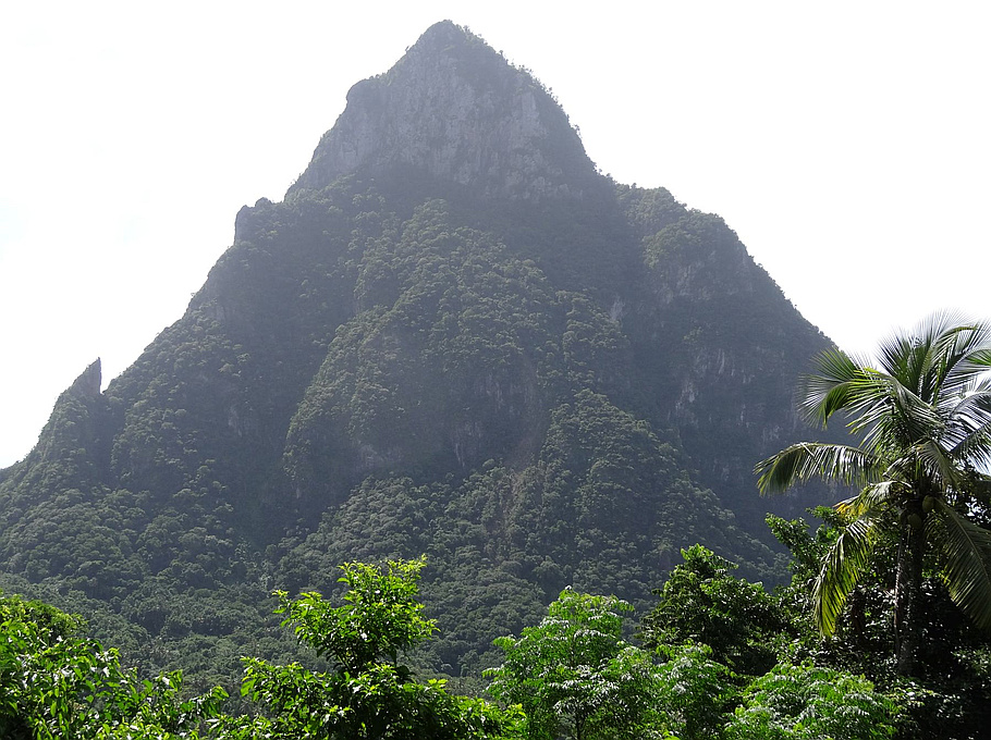 Petit Piton Saint Lucia peakery