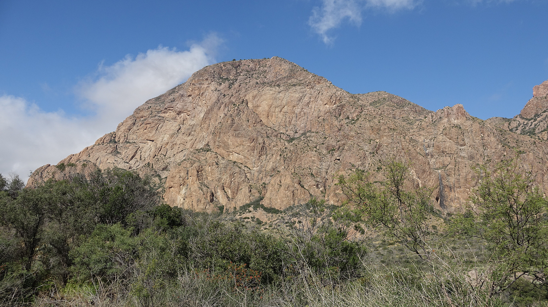 Vernon Bailey Peak Texas peakery