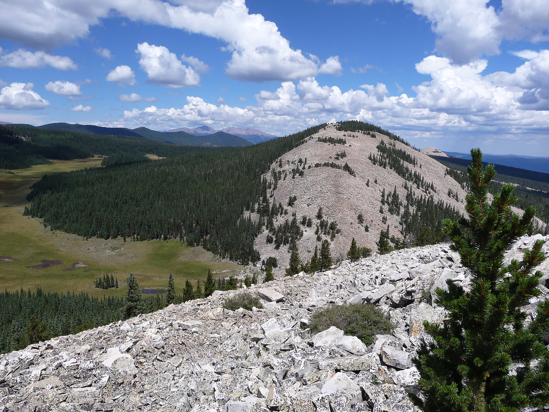 Ash Mountain North New Mexico peakery