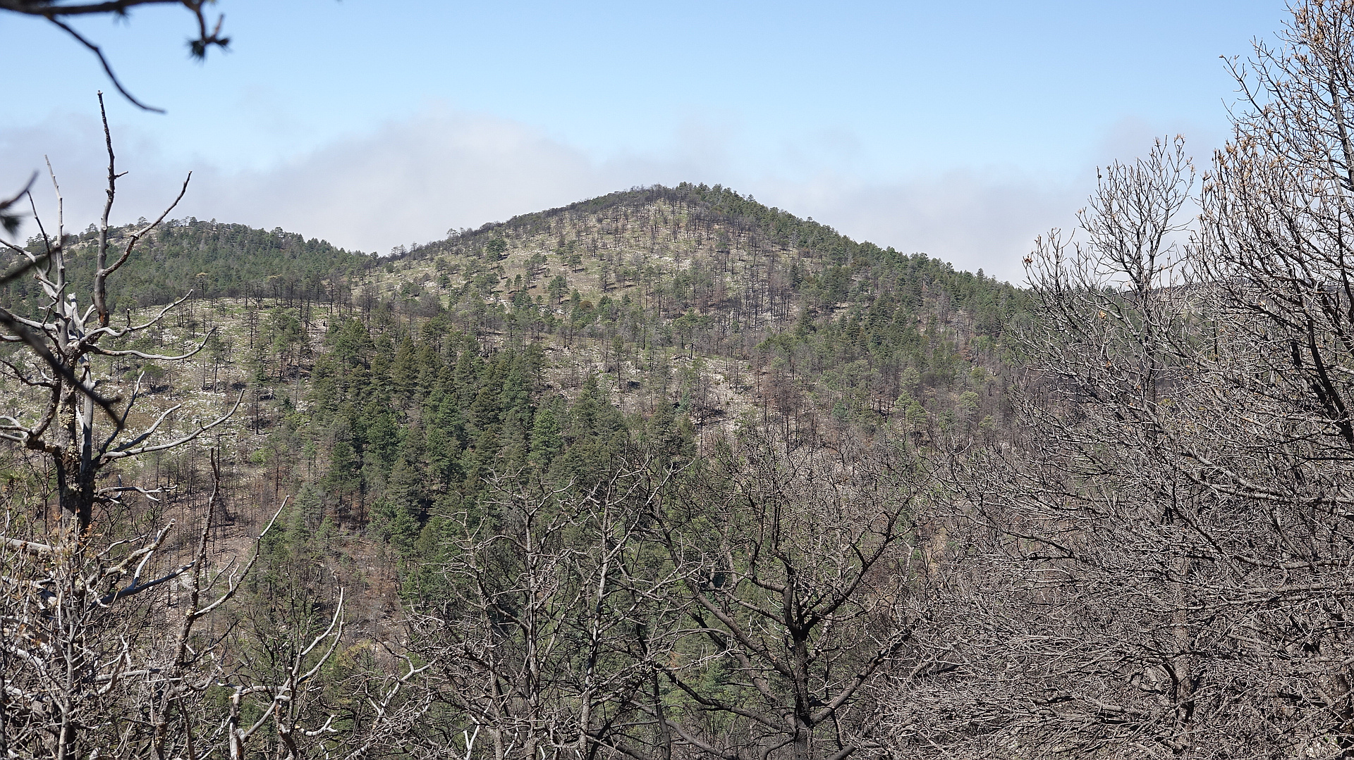 Blue Ridge Texas peakery