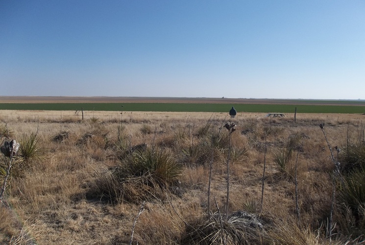 Kansas mountains peakery