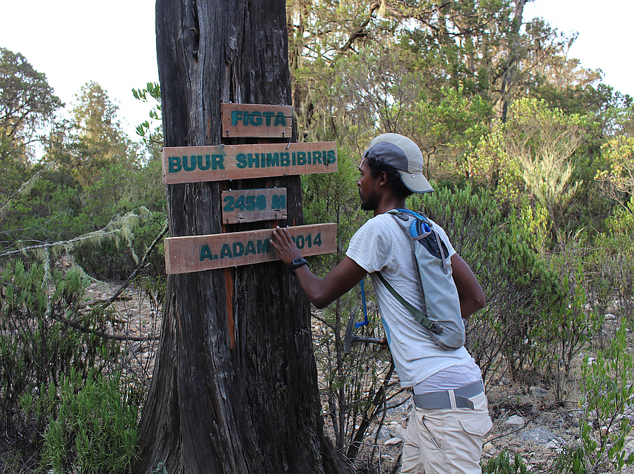 Shimbiris Sanaag, Somalia peakery