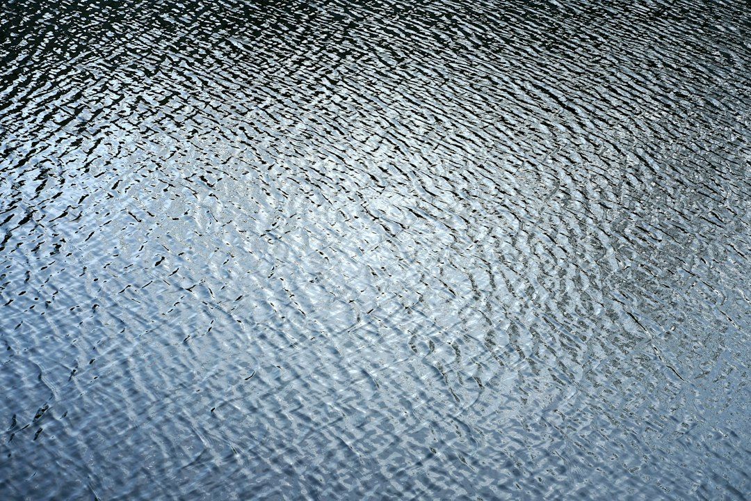 arle.rtarmin5612.30s picture