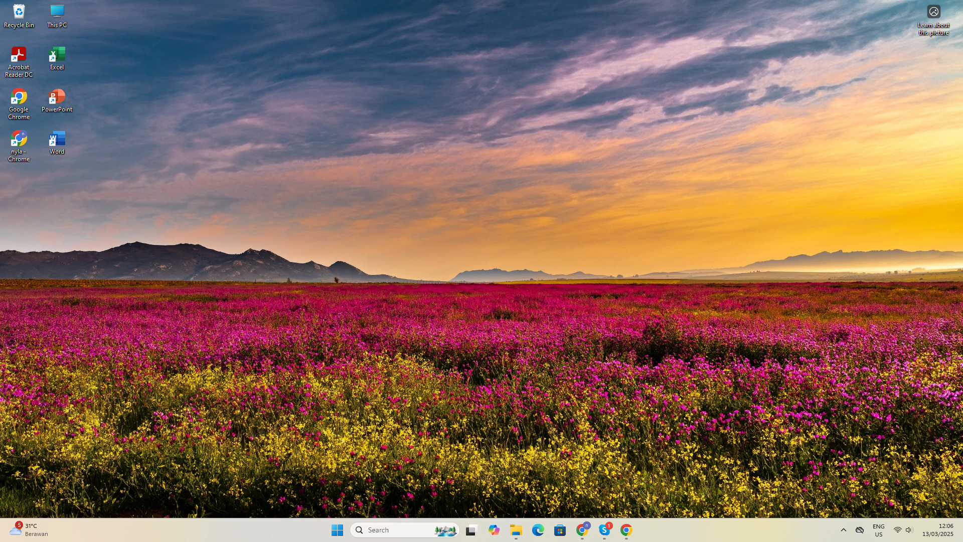 gwenmallard4356s picture