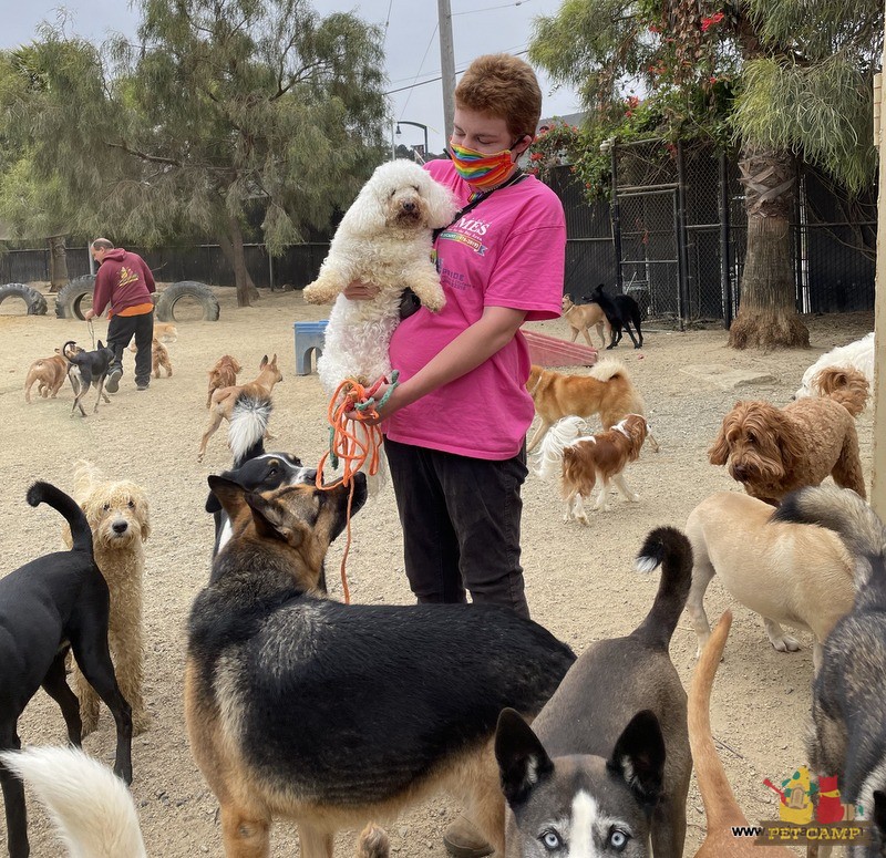 Pet Camp Main Campground June 28th, 2021 Pet Camp