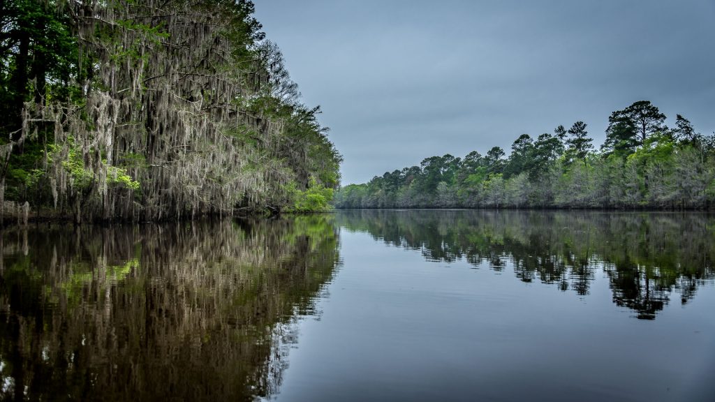 caddo lake