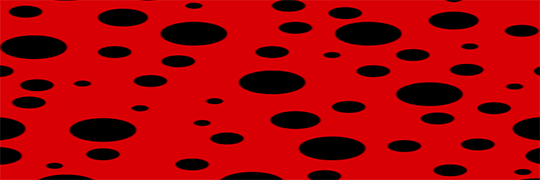 The Lost Ladybug