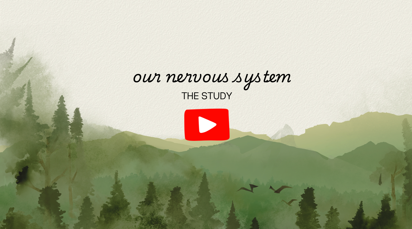 Your Nervous System