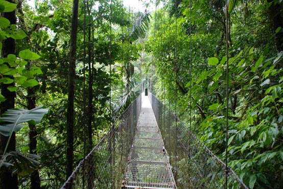 Product Arenal 4In1 With The Springs Tour