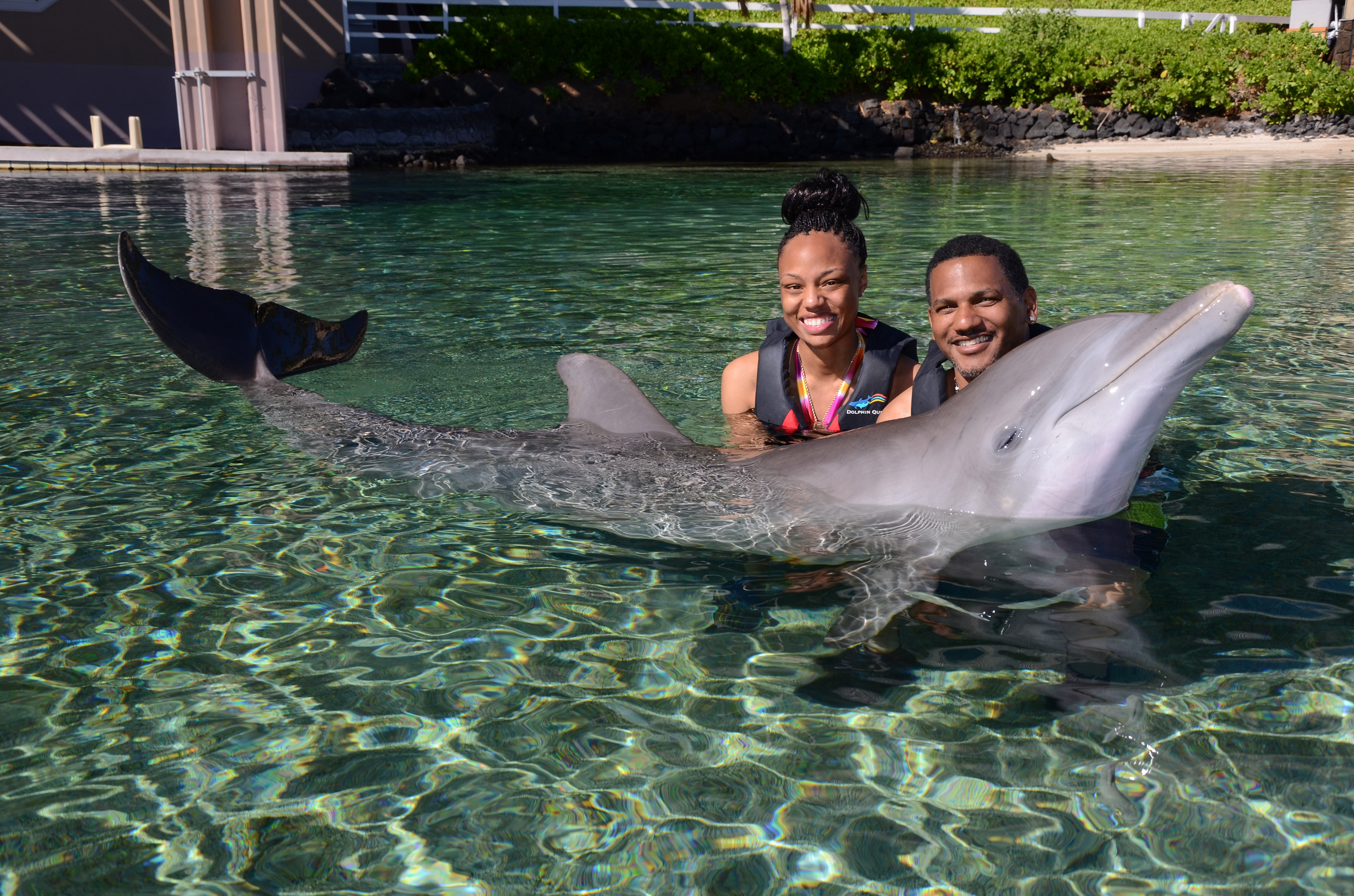Product Dolphin Encounter