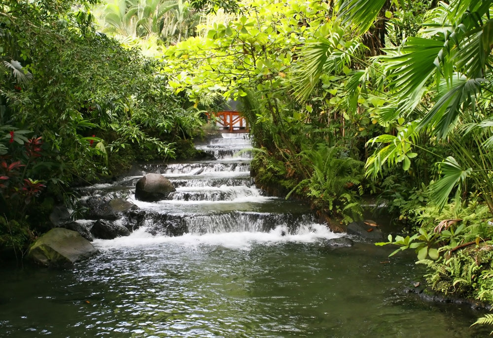 Product Arenal Volcano & the Springs from San Jose