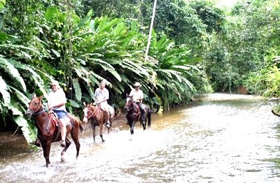 Product Horseback Riding in Puntarenas