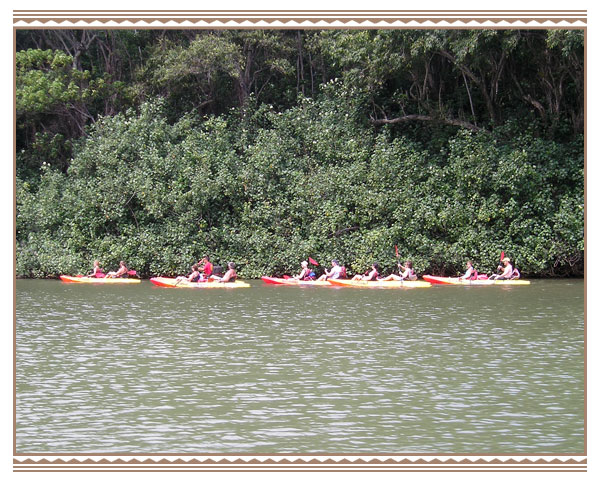 Product Secret Falls and Wailua River
