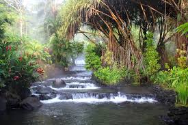 Product 4 in 1 w/ Tabacon Hot Springs