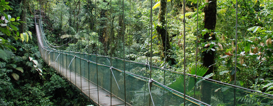 Product Hanging Bridges Adventure