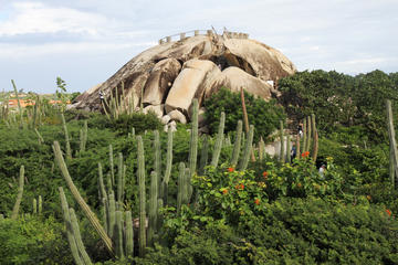 Product Aruba Sightseeing Tour