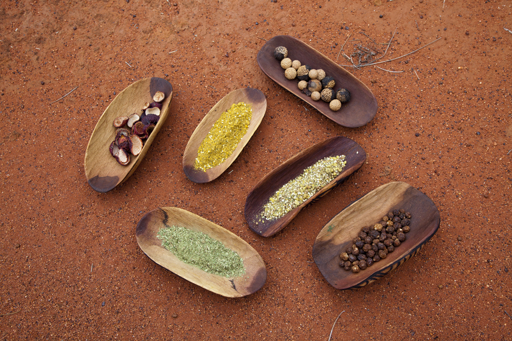 Product Bush Tucker & Reptiles of the Red Centre