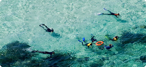 Product Ocean Freedom Cruise