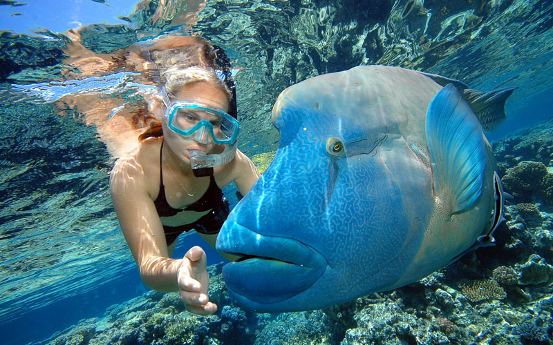 Product Outer Reef - 2 Certified Dive