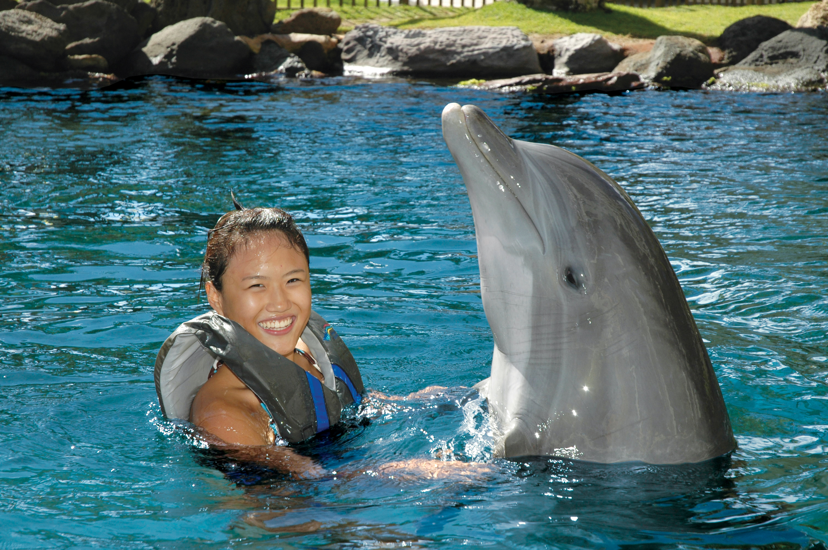 Product Dolphin Quest Adventure