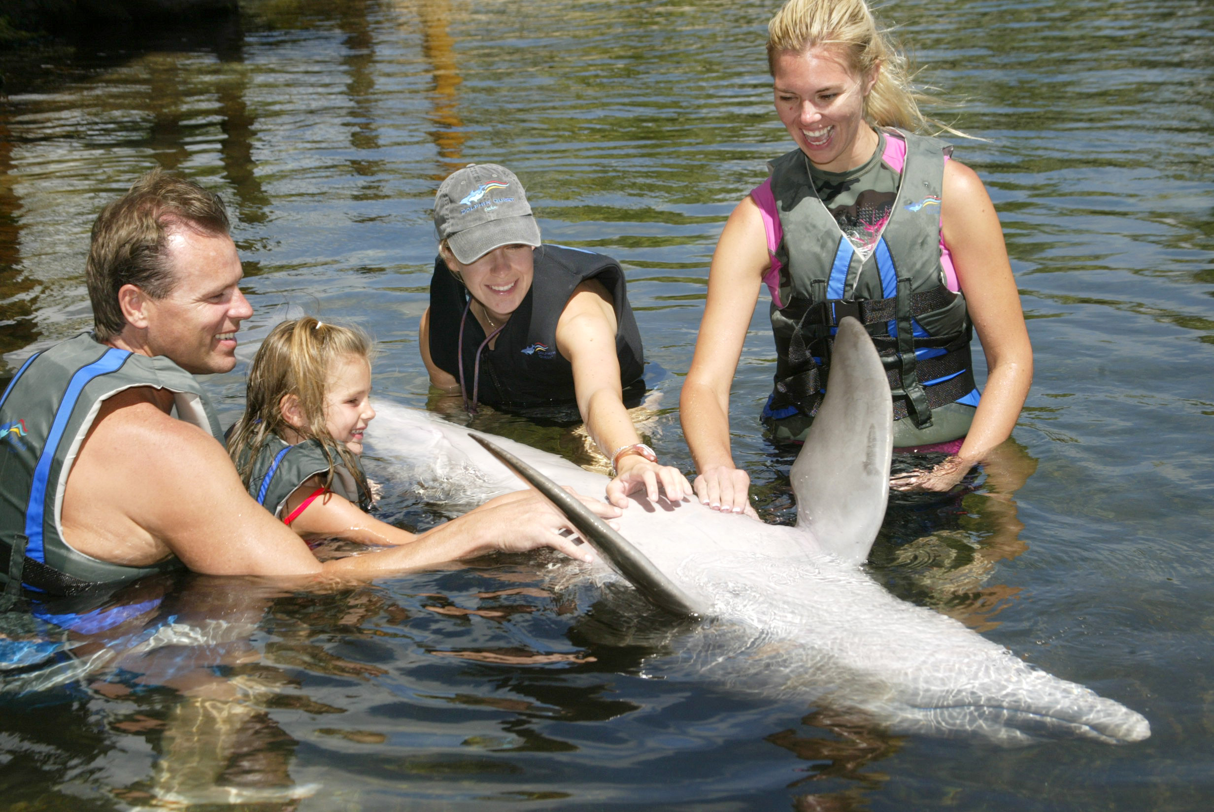Product Family Swim Program