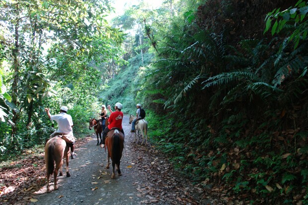 Product Horseback Riding From Jaco