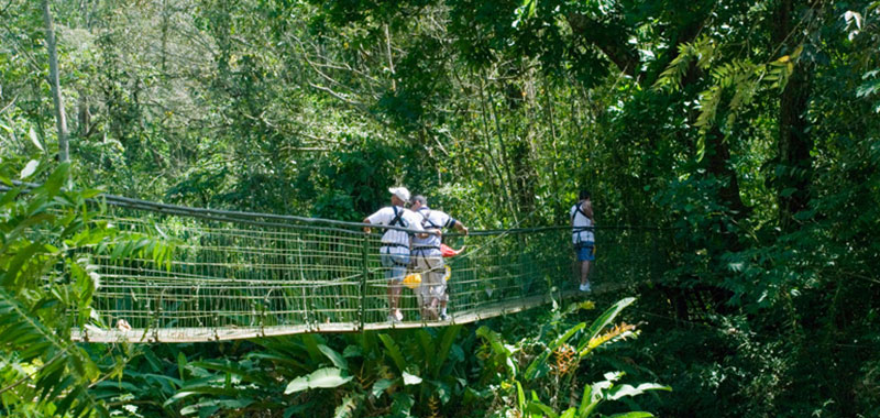 Product Canopy Tour From Jaco