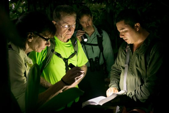 Product Jungle Night Walk & Aquatic Tropical Gardens